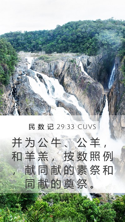 民 数 记 29:33 CUVS Mobile Phone Wallpaper - 并 为 公 牛 、 公 羊 ， 和 羊 羔 ， - Mobile Bible Verse Wallpaper