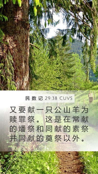 民 数 记 29:38 CUVS Bible Verse Image