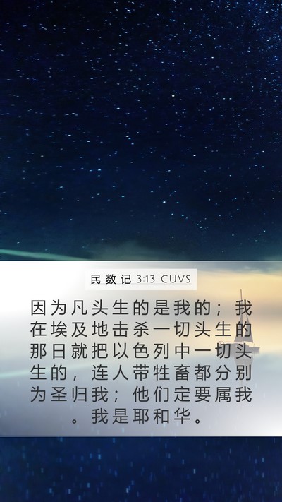 民 数 记 3:13 CUVS Mobile Phone Wallpaper - 因 为 凡 头 生 的 是 我 的 ； 我 在 - Mobile Bible Verse Wallpaper