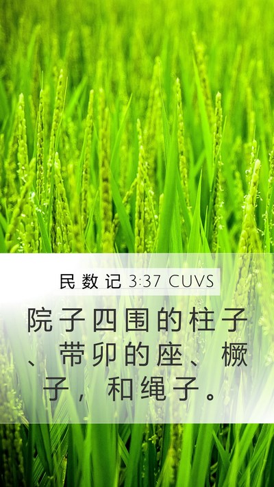 民 数 记 3:37 CUVS Mobile Phone Wallpaper - 院 子 四 围 的 柱 子 、 带 卯 的 座 - Mobile Bible Verse Wallpaper