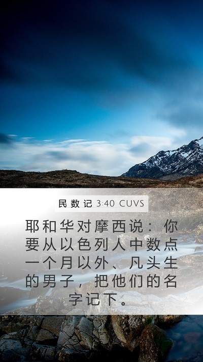民 数 记 3:40 CUVS Mobile Phone Wallpaper - 耶 和 华 对 摩 西 说 ： 你 要 从 以 - Mobile Bible Verse Wallpaper