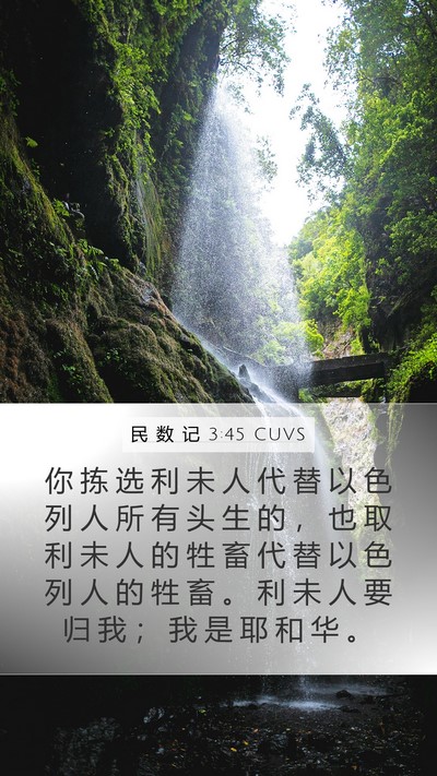 民 数 记 3:45 CUVS Bible Verse Image
