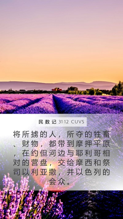 民 数 记 31:12 CUVS Bible Verse Image