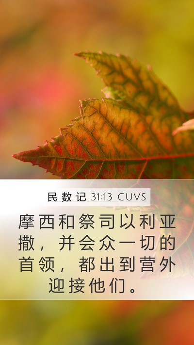 民 数 记 31:13 CUVS Bible Verse Image