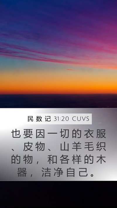 民 数 记 31:20 CUVS Mobile Phone Wallpaper - 也 要 因 一 切 的 衣 服 、 皮 物 、 - Mobile Bible Verse Wallpaper
