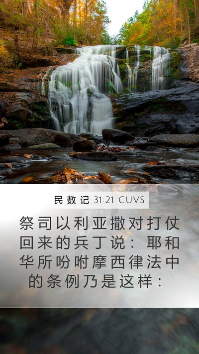 民 数 记 31:21 CUVS Mobile Phone Wallpaper - 祭 司 以 利 亚 撒 对 打 仗 回 来 的 - Mobile Bible Verse Wallpaper