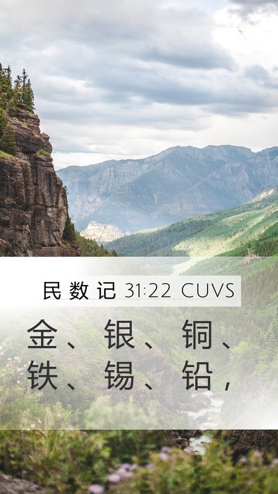 民 数 记 31:22 CUVS Bible Verse Image