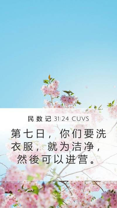 民 数 记 31:24 CUVS Mobile Phone Wallpaper - 第 七 日 ， 你 们 要 洗 衣 服 ， 就 - Mobile Bible Verse Wallpaper