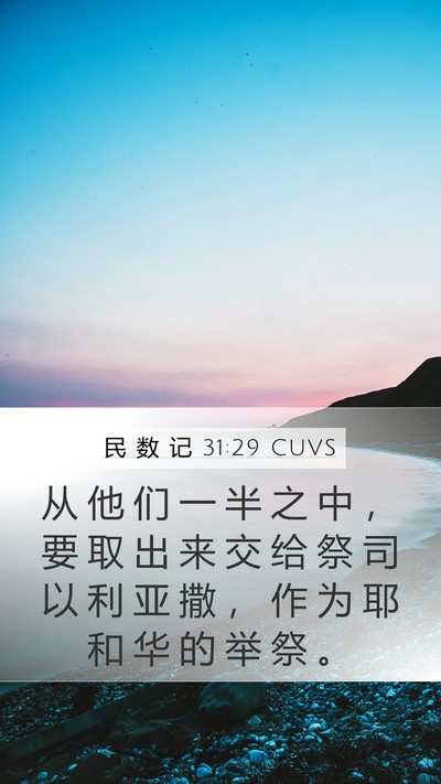 民 数 记 31:29 CUVS Bible Verse Image
