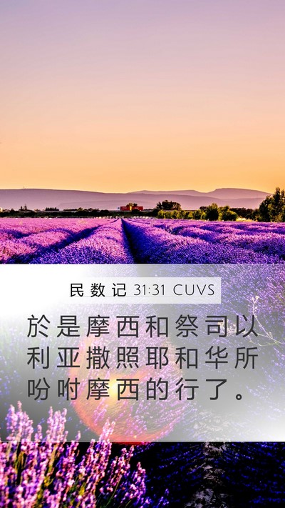 民 数 记 31:31 CUVS Mobile Phone Wallpaper - 於 是 摩 西 和 祭 司 以 利 亚 撒 照 - Mobile Bible Verse Wallpaper