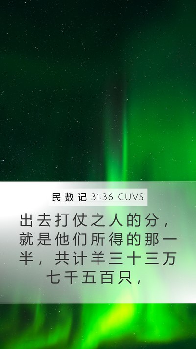 民 数 记 31:36 CUVS Mobile Phone Wallpaper - 出 去 打 仗 之 人 的 分 ， 就 是 他 - Mobile Bible Verse Wallpaper