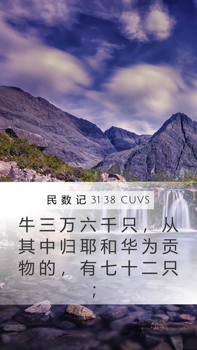民 数 记 31:38 CUVS Mobile Phone Wallpaper - 牛 三 万 六 千 只 ， 从 其 中 归 耶 - Mobile Bible Verse Wallpaper