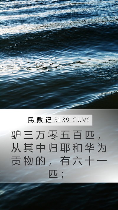 民 数 记 31:39 CUVS Mobile Phone Wallpaper - 驴 三 万 零 五 百 匹 ， 从 其 中 归 - Mobile Bible Verse Wallpaper