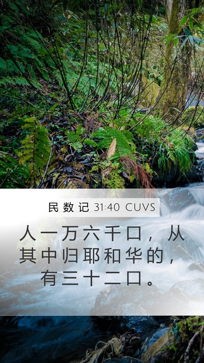 民 数 记 31:40 CUVS Mobile Phone Wallpaper - 人 一 万 六 千 口 ， 从 其 中 归 耶 - Mobile Bible Verse Wallpaper