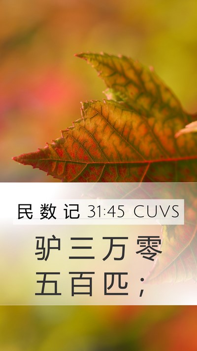 民 数 记 31:45 CUVS Mobile Phone Wallpaper - 驴 三 万 零 五 百 匹 - Mobile Bible Verse Wallpaper