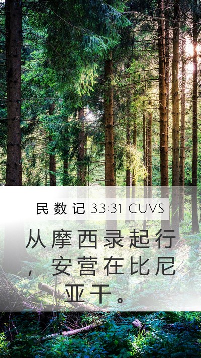 民 数 记 33:31 CUVS Mobile Phone Wallpaper - 从 摩 西 录 起 行 ， 安 营 在 比 尼 - Mobile Bible Verse Wallpaper