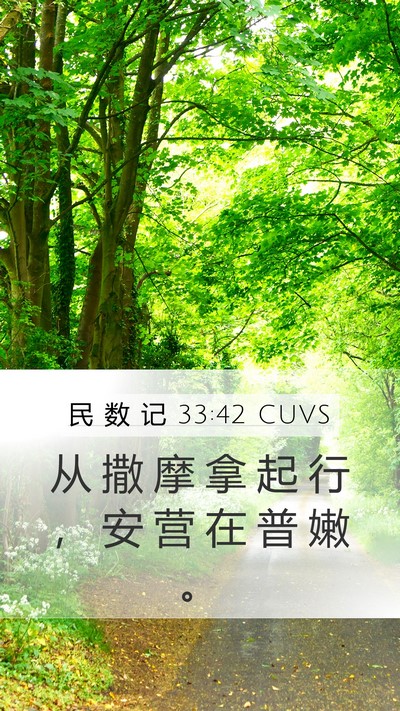 民 数 记 33:42 CUVS Mobile Phone Wallpaper - 从 撒 摩 拿 起 行 ， 安 营 在 普 嫩 - Mobile Bible Verse Wallpaper