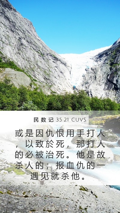 民 数 记 35:21 CUVS Bible Verse Image