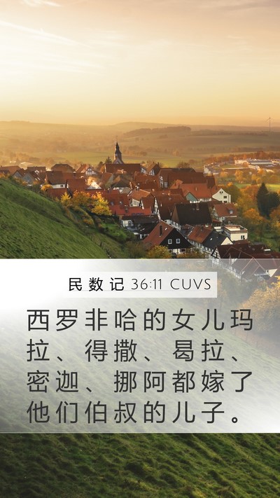民 数 记 36:11 CUVS Mobile Phone Wallpaper - 西 罗 非 哈 的 女 儿 玛 拉 、 得 撒 - Mobile Bible Verse Wallpaper
