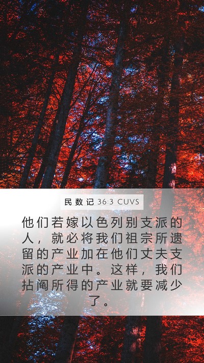 民 数 记 36:3 CUVS Mobile Phone Wallpaper - 他 们 若 嫁 以 色 列 别 支 派 的 人 - Mobile Bible Verse Wallpaper