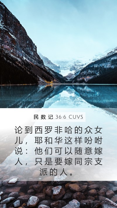 民 数 记 36:6 CUVS Mobile Phone Wallpaper - 论 到 西 罗 非 哈 的 众 女 儿 ， 耶 - Mobile Bible Verse Wallpaper