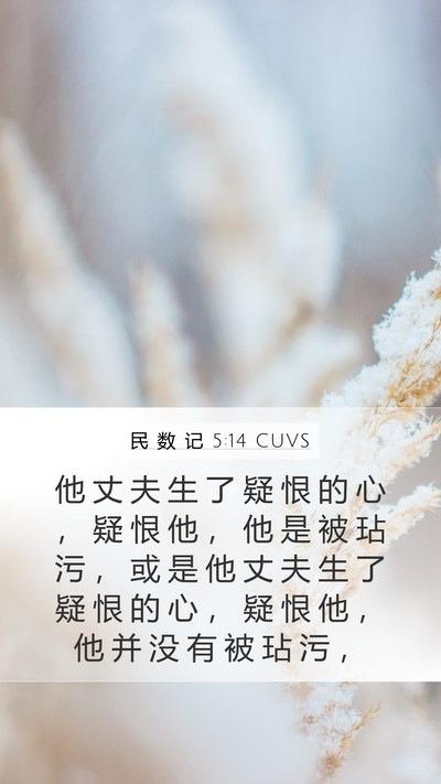民 数 记 5:14 CUVS Mobile Phone Wallpaper - 他 丈 夫 生 了 疑 恨 的 心 ， 疑 恨 - Mobile Bible Verse Wallpaper