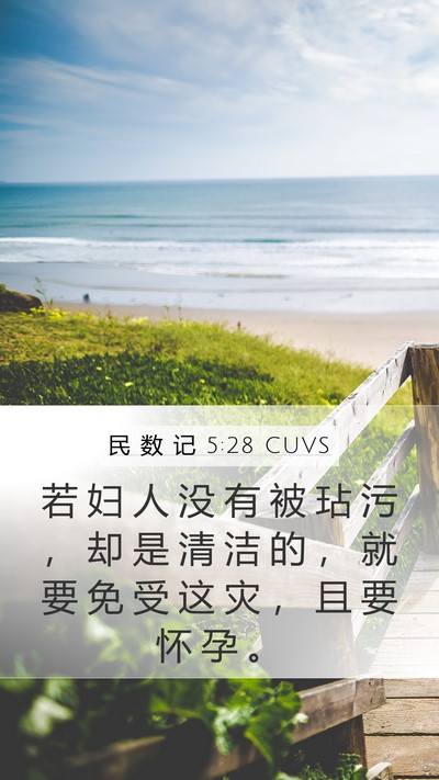 民 数 记 5:28 CUVS Mobile Phone Wallpaper - 若 妇 人 没 有 被 玷 污 ， 却 是 清 - Mobile Bible Verse Wallpaper