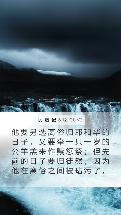 民 数 记 6:12 CUVS Bible Verse Image