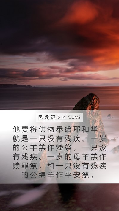 民 数 记 6:14 CUVS Bible Verse Image