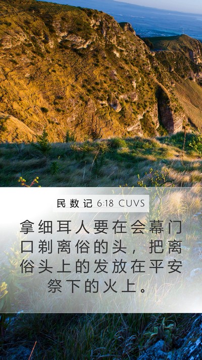 民 数 记 6:18 CUVS Mobile Phone Wallpaper - 拿 细 耳 人 要 在 会 幕 门 口 剃 离 - Mobile Bible Verse Wallpaper