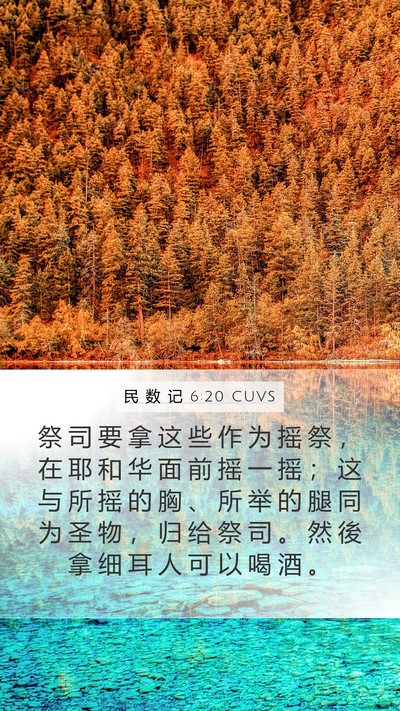 民 数 记 6:20 CUVS Bible Verse Image
