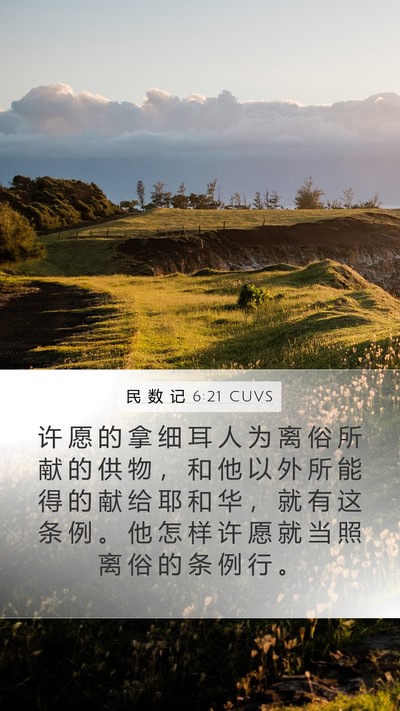 民 数 记 6:21 CUVS Bible Verse Image