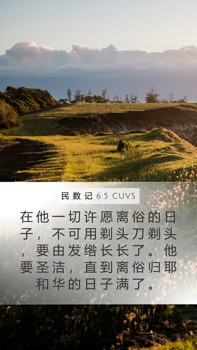 民 数 记 6:5 CUVS Bible Verse Image