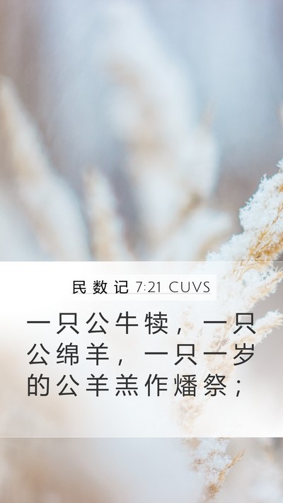 民 数 记 7:21 CUVS Mobile Phone Wallpaper - 一 只 公 牛 犊 ， 一 只 公 绵 羊 ， - Mobile Bible Verse Wallpaper