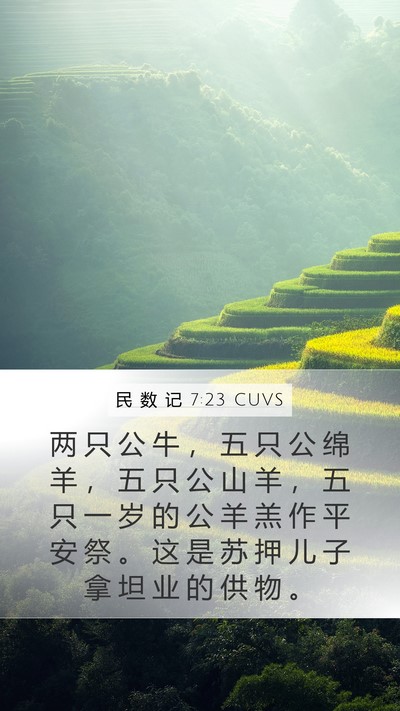 民 数 记 7:23 CUVS Mobile Phone Wallpaper - 两 只 公 牛 ， 五 只 公 绵 羊 ， 五 - Mobile Bible Verse Wallpaper
