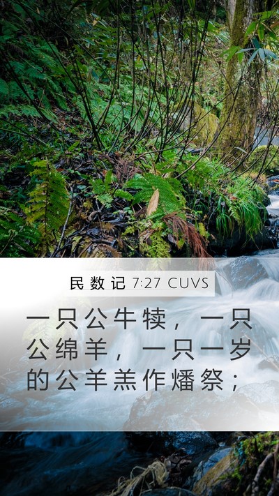 民 数 记 7:27 CUVS Bible Verse Image