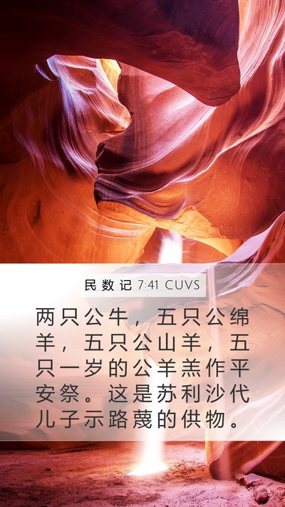 民 数 记 7:41 CUVS Bible Verse Image