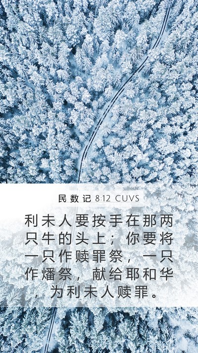 民 数 记 8:12 CUVS Mobile Phone Wallpaper - 利 未 人 要 按 手 在 那 两 只 牛 的 - Mobile Bible Verse Wallpaper