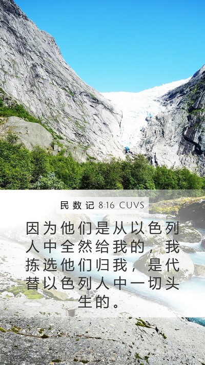 民 数 记 8:16 CUVS Bible Verse Image