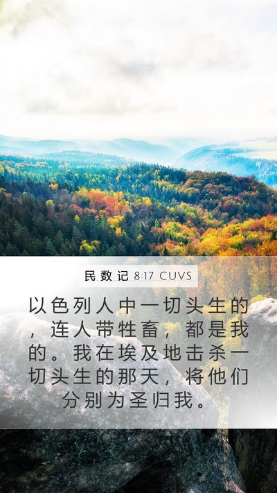 民 数 记 8:17 CUVS Mobile Phone Wallpaper - 以 色 列 人 中 一 切 头 生 的 ， 连 - Mobile Bible Verse Wallpaper