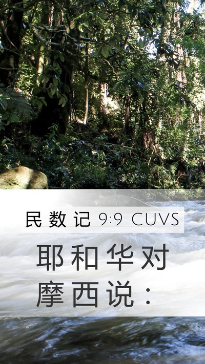 民 数 记 9:9 CUVS Mobile Phone Wallpaper - 耶 和 华 对 摩 西 说 - Mobile Bible Verse Wallpaper