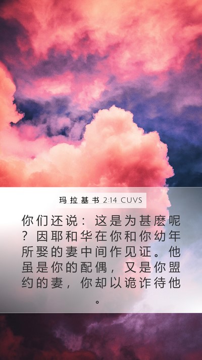 玛 拉 基 书 2:14 CUVS Bible Verse Image