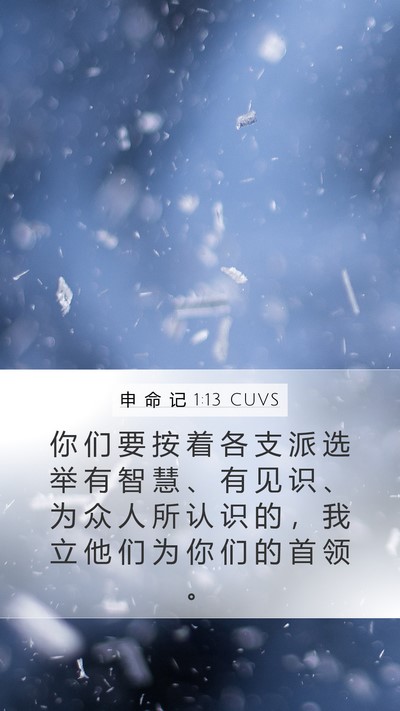 申 命 记 1:13 CUVS Bible Verse Image
