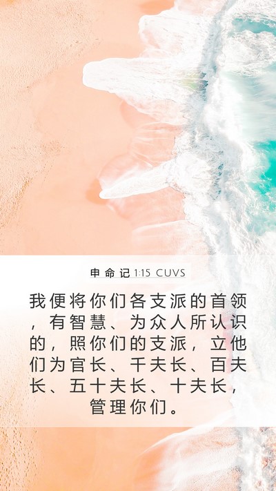 申 命 记 1:15 CUVS Bible Verse Image