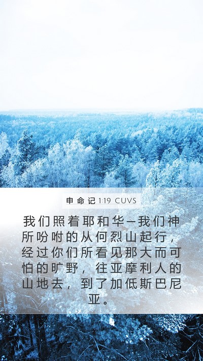 申 命 记 1:19 CUVS Bible Verse Image