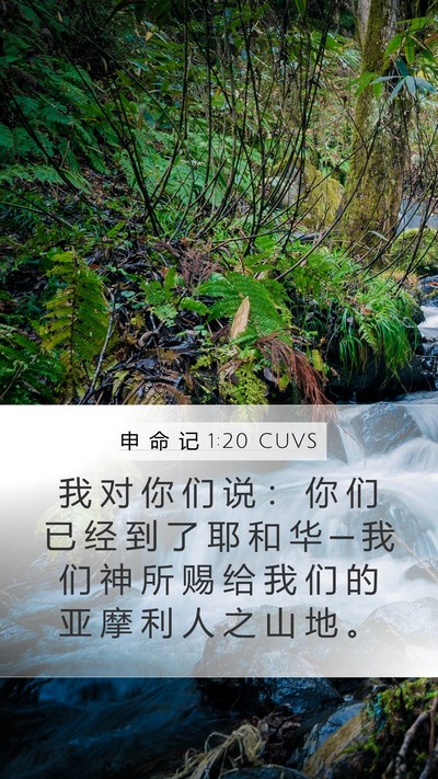 申 命 记 1:20 CUVS Mobile Phone Wallpaper - 我 对 你 们 说 ： 你 们 已 经 到 了 - Mobile Bible Verse Wallpaper