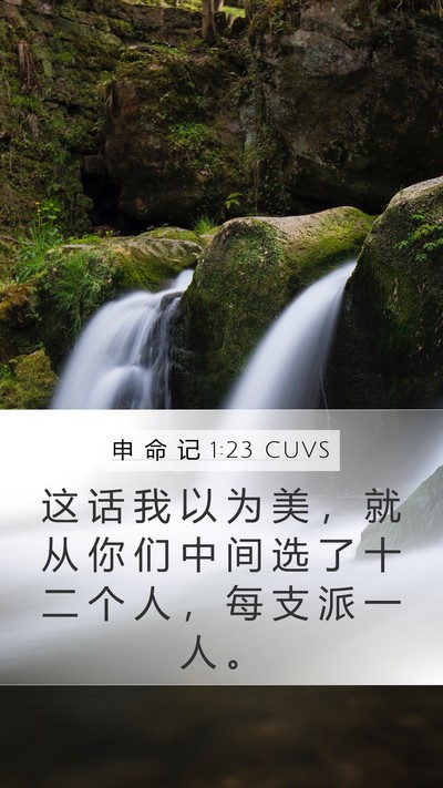 申 命 记 1:23 CUVS Bible Verse Image