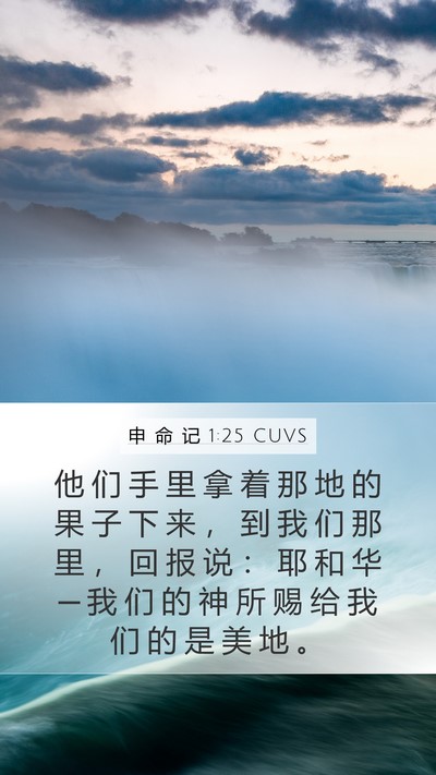 申 命 记 1:25 CUVS Bible Verse Image