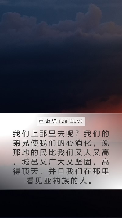 申 命 记 1:28 CUVS Bible Verse Image