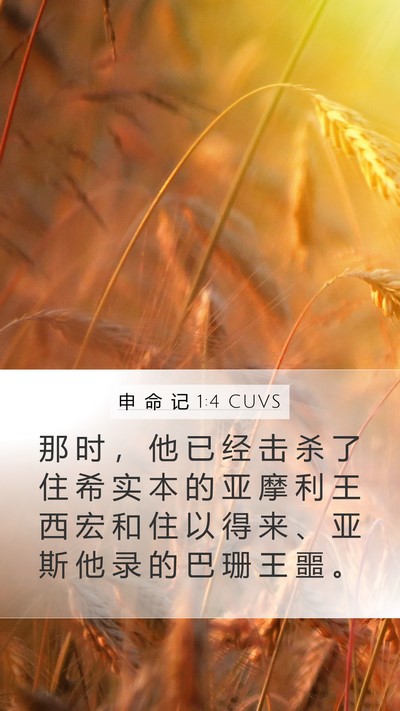 申 命 记 1:4 CUVS Bible Verse Image